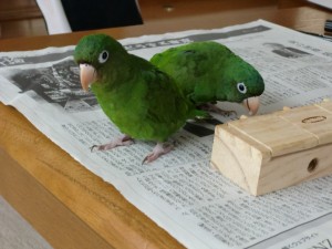 CIMG0626