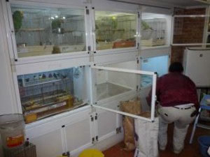 P1050135