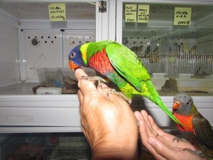 IMG_0051