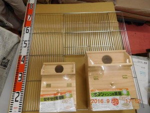 DSCN2104