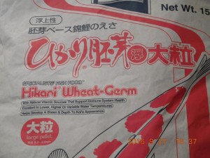 DSCN2148