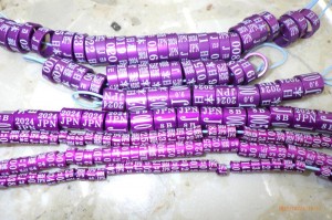R0011691