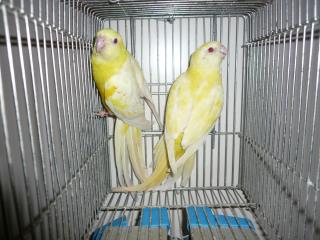 51QKDjnrf0L._UF350,350_QL50_.jpg