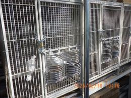 HT-1061　25年後半期のギンバト　