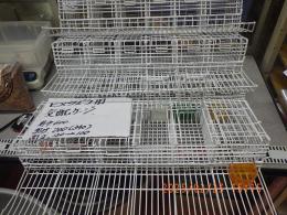 KG-462　新古ヒメウズラ2羽づつ敷居ケージ　限定数
