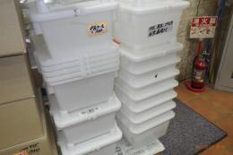 KG-464　硬質プラスチック箱(中古)昆虫・爬虫類・小動物などに
