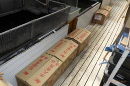 KI-452　錦鯉の販売始めました。
