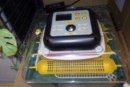 KG-492　24個入り自動転卵機