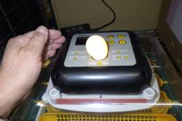 KG-492　24個入り自動転卵機