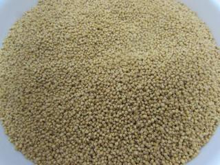 ES-246　562Aミニバード 11.3kg 