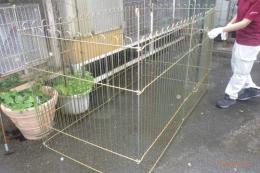 KG-496　GBの犬用ランニングケージI