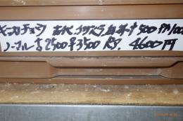 KOT-2757　キンカチョウ・ノーマル　雄雌で