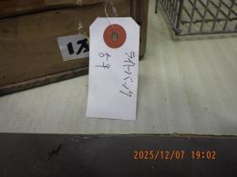 KOT-2805 キンカチョウ・ライトバック　雄雌で